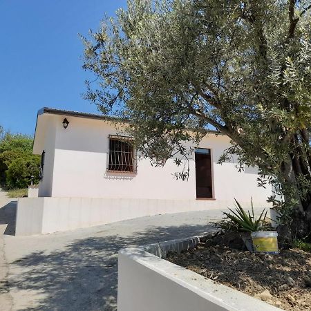 Villa Paradiso Montegiordano Ngoại thất bức ảnh