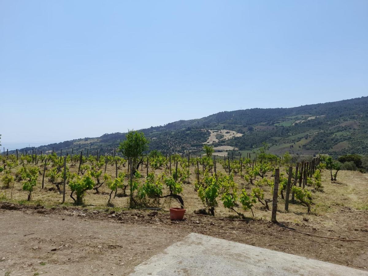 Villa Paradiso Montegiordano Ngoại thất bức ảnh